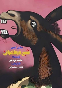 شبی در طهران