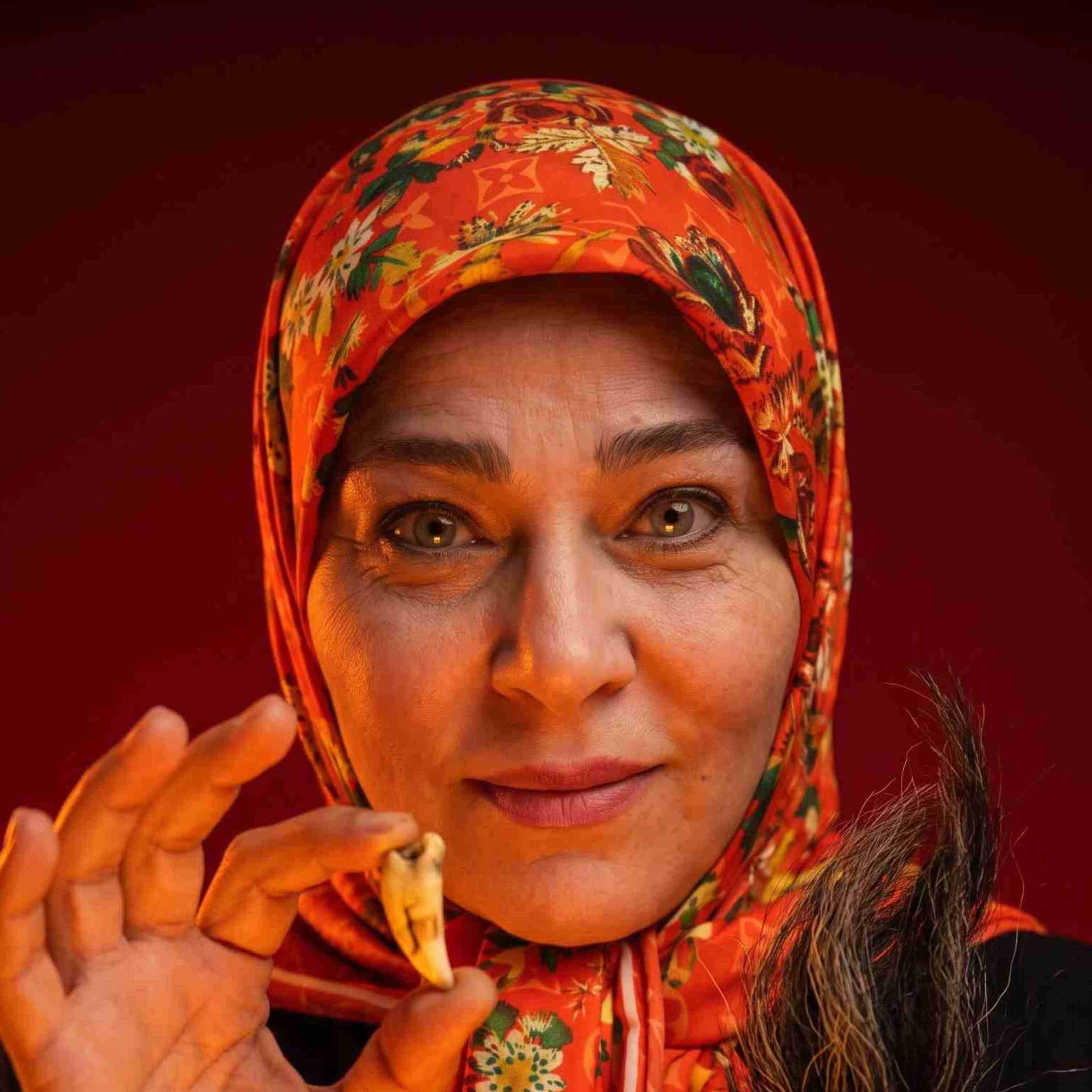 شیوا ایوبی